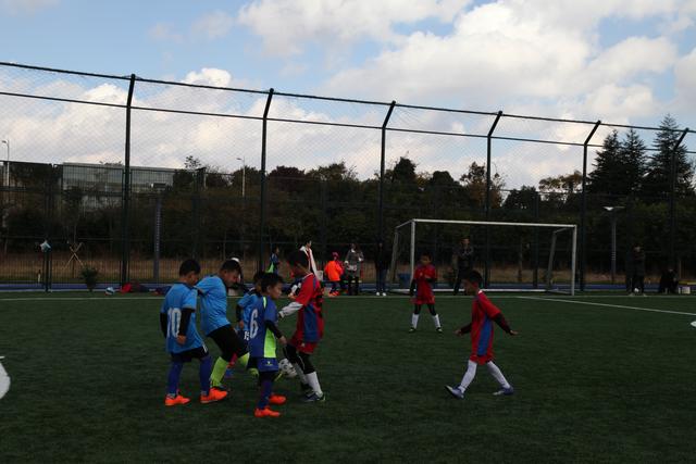 2026女篮世界杯分组揭晓：中美女篮同处D组